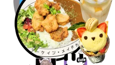 Nagi Nekomata Neko Combo
