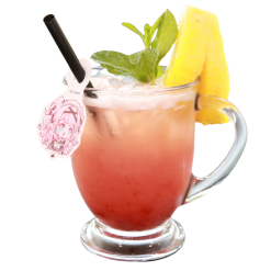 Pillow’s Strawberry Rainbow Love (Copy)